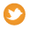 Social tweeter icon